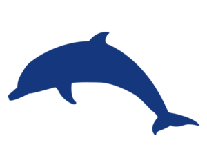 Dolphins