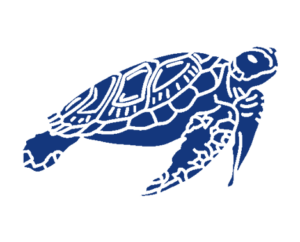 Sea Turtles